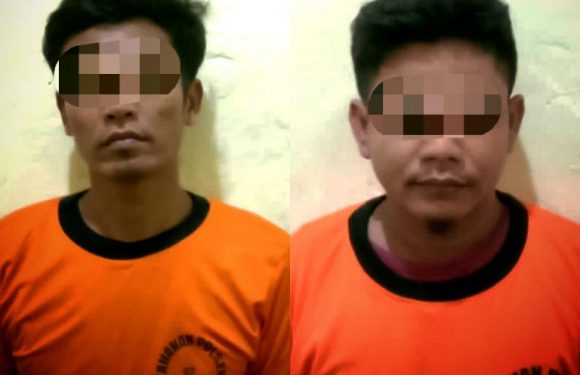 Curi Panel Surya Bantuan Pemerintah, 2 Warga Sidodadi Diringkus Polisi
