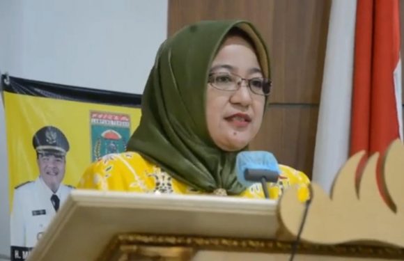 Mau Tahu Program Kerja Dinas Kesehatan Lampung Tengah tahun 2024, Berikut Penjelasan dr. Lidia Dewi