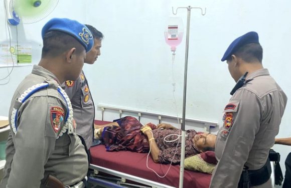 Sedang Cari Rumput, Warga Binakarya Buana Diterkam Buaya
