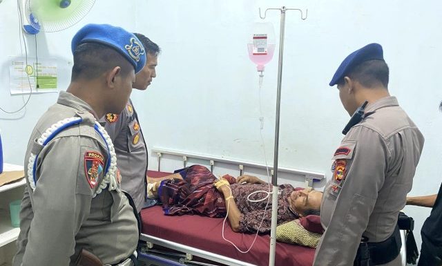 Sedang Cari Rumput, Warga Binakarya Buana Diterkam Buaya