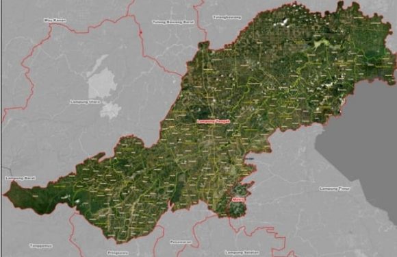Lampung Tengah Bersiap Dimekarkan, DPR RI Sudah Bentuk Panja Bahas 26 RUU Kabupaten/Kota