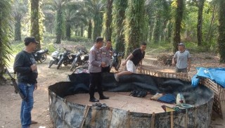 Gerebek Judi Sabung Ayam di Campakaputih, Pelaku Kocar-kacir, Belasan Motor Diamankan