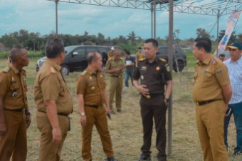 Kasi Intel Kejari Lamteng Tinjau Lokasi Launching Petani Mitra Adhiyaksa dan  Panen Raya Padi di Trimurjo