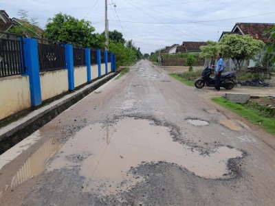 Warga Banjar Agung Harapkan Perbaikan Jalan