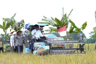 Plt Bupati Lamteng I Komang Koheri bersama Kelompok Tani Gelar Tasyakuran Swasembada Pangan di Seputihraman