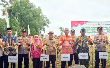 Panen Raya Jagung Serentak Kuartal I 2026, Polres Lamteng Tembus 72,45 Ton Dukung Ketahanan Pangan Nasional