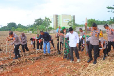 Dukung Ketahanan Pangan Nasional, Polres Lamteng Bersama Stakeholder Gelar Penanaman Jagung Serentak Kuartal I