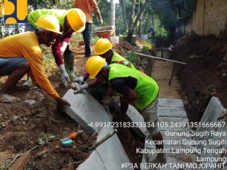 P3A Berkah Tani Mojopahit Jalankan Program Sesuai Juknis, Bangun Irigasi Sepanjang 567 Meter dengan Berdayakan Warga Sekitar