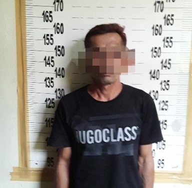 Curi Ayam 13 Ekor, Ujang Terancam Lebaran di Penjara