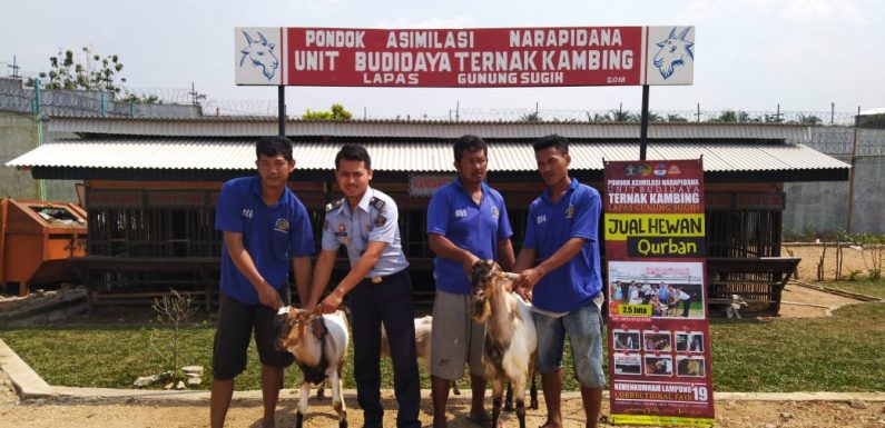 Pondok Asimilasi Narapidana Lapas Gunung Sugih Siap Jual Hewan Qurban