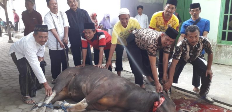 SMK YPI Seputihmataram Shalat Ied dan Kurban