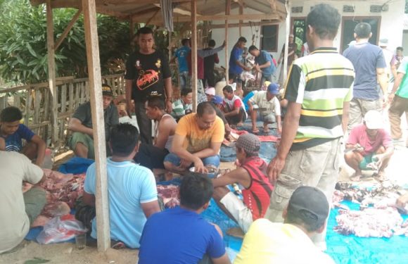 Tiga Sapi dan 16 Kambing Dipotong di Lempuyang Bandar