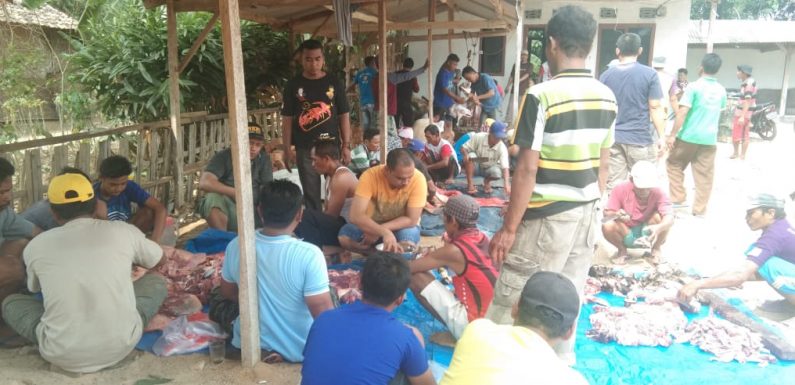 Tiga Sapi dan 16 Kambing Dipotong di Lempuyang Bandar