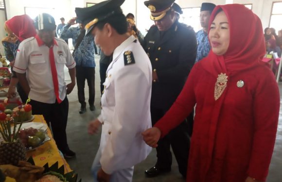 TP PKK Kecamatan Padangratu Gelar Lomba Tumpeng Meriahkan HUT RI Ke-74