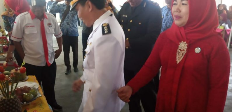 TP PKK Kecamatan Padangratu Gelar Lomba Tumpeng Meriahkan HUT RI Ke-74