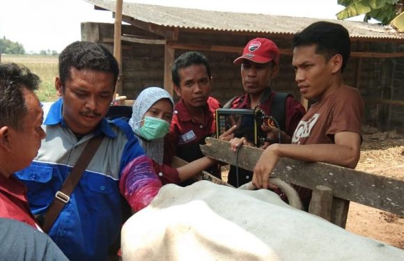 Peserta Antusias Ikuti Pelatihan ATR Disnakbun Lamteng