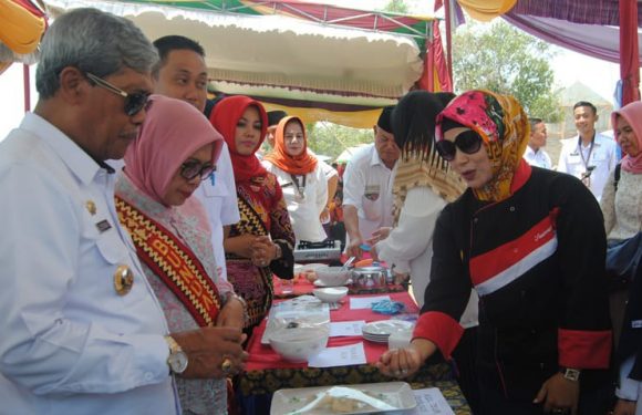 Loekman Launcing PMT-AS PAUD di Anaktuha
