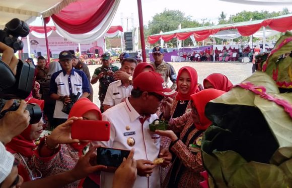 Dinas Ketahanan Pangan Lamteng Gelar Gebyar Olahan Pangan Sehat 2019
