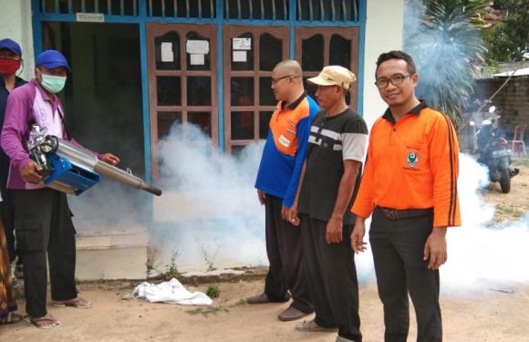 Cegah DBD Meluas, Puskesmas Candirejo Lakukan Fogging