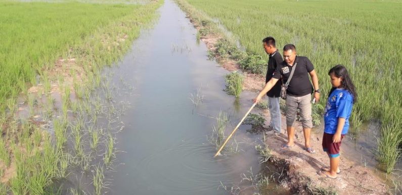 Mandi di Irigasi, Bocah 12 Tahun di Seputihsurabaya Tewas Tenggelam