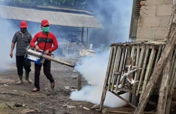 Tindaklanjuti Kasus DBD, Puskesmas Rumbia Lakukan Fogging dan Sosialisasi PSN