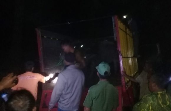 Ketahuan Warga, Pencuri Kerbau di Subangjaya Tinggalkan Mobil di Kebun Sawit
