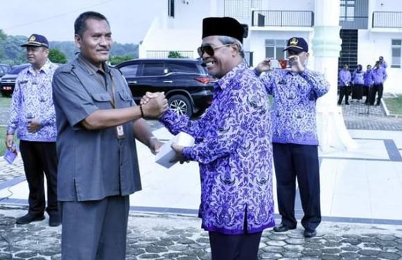SP Online 2020 Dimulai, Begini Tata Caranya