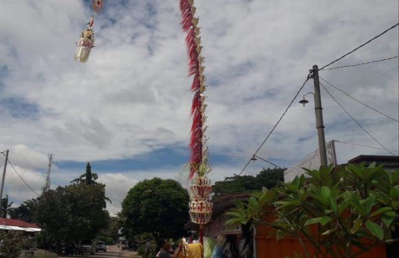 Jelang Galungan Umat Hindu Pasang Penjor
