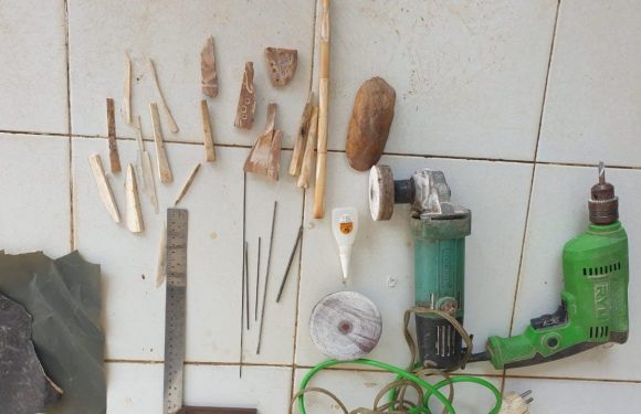 Bawa Sembilan Pipa Gading, Warga Lamteng Tertangkap di Lamtim