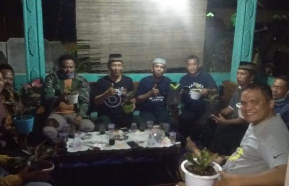 Jadikan Kelurahan Adipuro Destinasi Wisata Aglonema, Toni Sastra Harapkan Dukungan Pemerintah