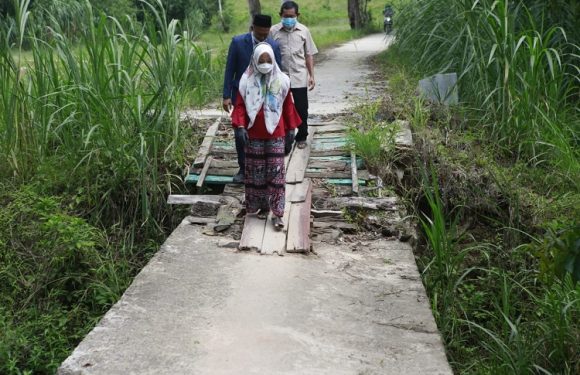 Nessy Kalviya Blusukan ke Umbul Banten Terbanggibesar Tinjau Jembatan Rusak