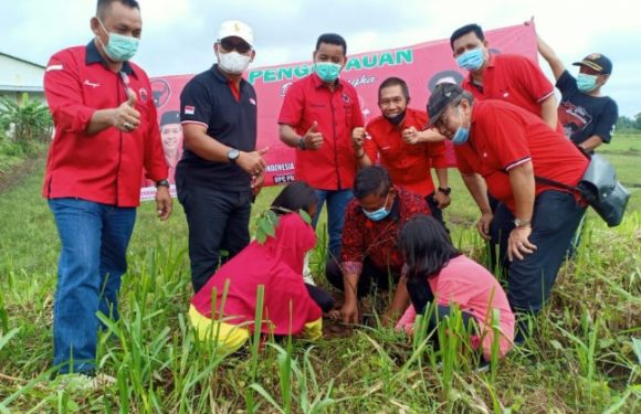 HUT ke 48 PDI Perjuangan, Tanam Pohon Perbaiki Bumi Lamteng