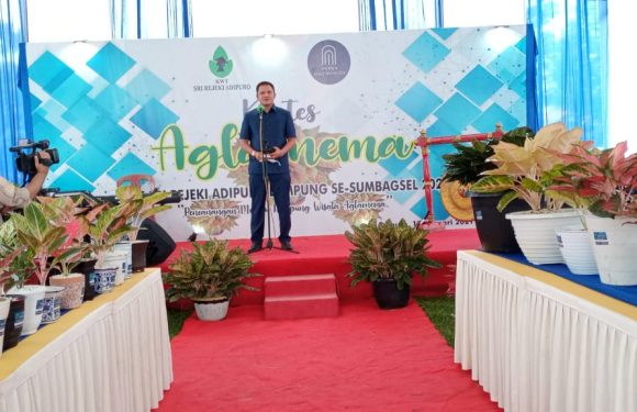 200 Peserta Ramaikan Kontes Aglaonema, Tosa; akan Ada Event Lebih Besar