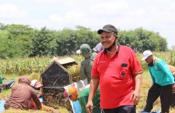 Ketua DPRD Lamteng Sarankan Petani Singkong Beralih Tanam Padi Gogo