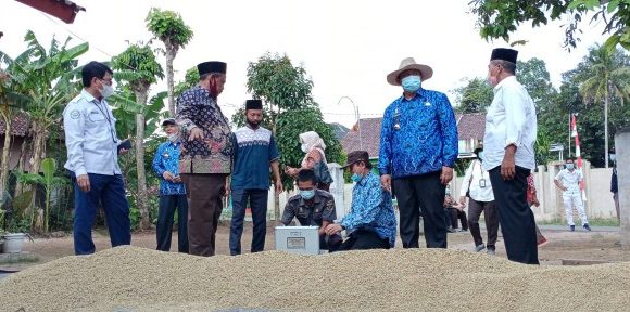 Ketua DPRD Lamteng Dampingi Tim Kementan Pantau Harga Gabah di Trimurjo