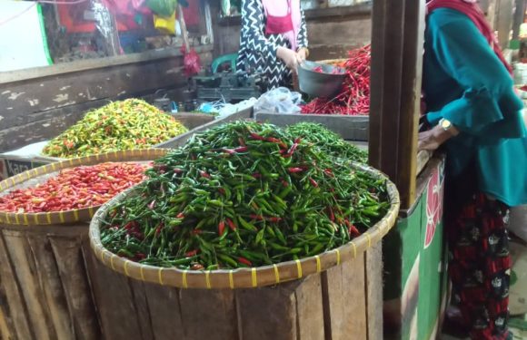 Jelang Idul Fitri, Harga Cabai Rawit di Pasar Bandarjaya Turun