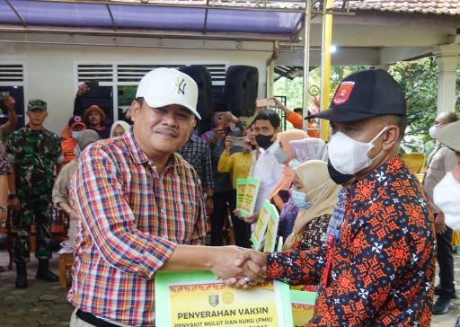 Bupati Musa Ahmad Sebut Belum Ada Kasus PMK Terdeteksi di Lamteng
