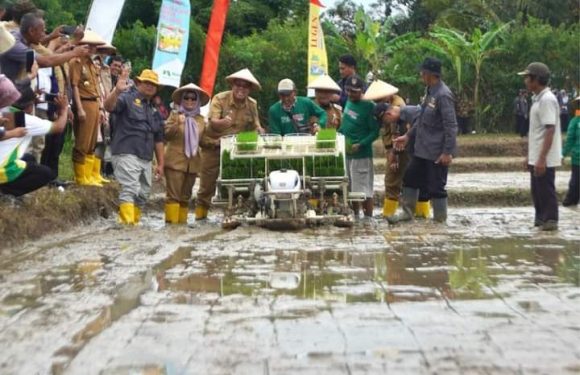 Dukung Percepatan Tanam, Pemkab Lamteng Beri Bantuan Benih Padi untuk 4.600 Ha di Kotagajah