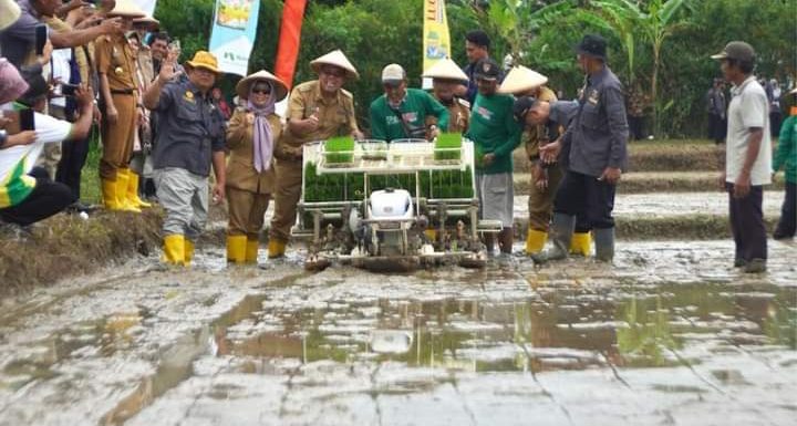 Dukung Percepatan Tanam, Pemkab Lamteng Beri Bantuan Benih Padi untuk 4.600 Ha di Kotagajah