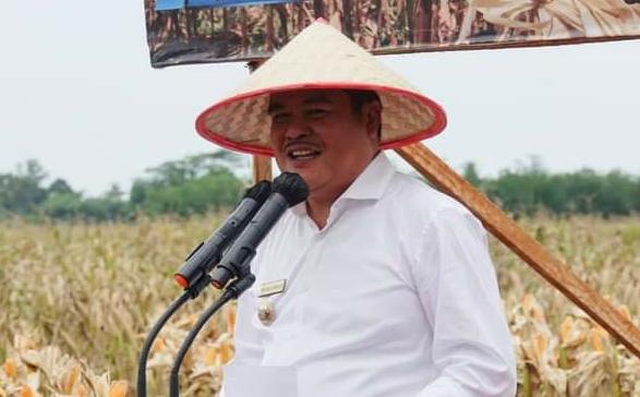 Atasi Harga Singkong, Ini Upaya Bupati Lamteng Musa Ahmad