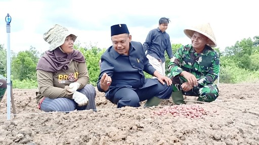 Ketua DPRD Lamteng Apresiasi Tanam Bawang Merah oleh Kodim 0411/KM