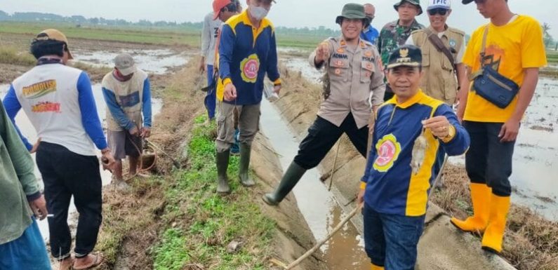 Respon Keluhan Petani, Kapolsek Seputihraman Pimpin Gropyokan Tikus