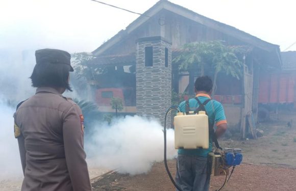 Catat 73 Kasus DBD, Dinkes Lamteng Kampanyekan G1R1J