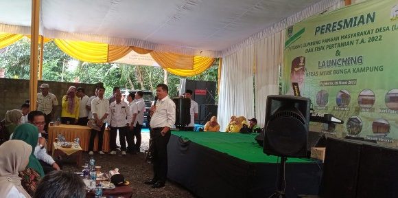 Bupati Lamteng Resmikan LPMDes Sekaligus Launching Beras Bunga Kampung