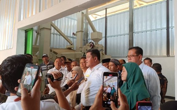 Surplus Beras di Lamteng Capai 300 Ribu Ton per Tahun, Jumali; Lebih Dari Cukup