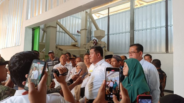 Surplus Beras di Lamteng Capai 300 Ribu Ton per Tahun, Jumali; Lebih Dari Cukup