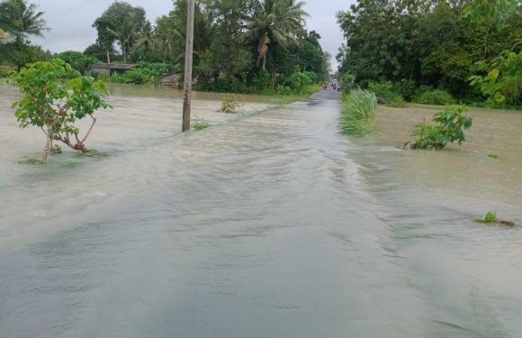 Diguyur Hujan Lebat, Jalan Poros di Kampung Sido Binangun Terendam Banjir
