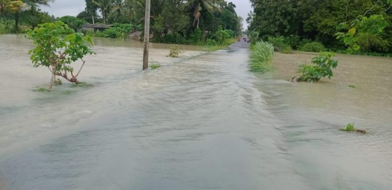 Diguyur Hujan Lebat, Jalan Poros di Kampung Sido Binangun Terendam Banjir