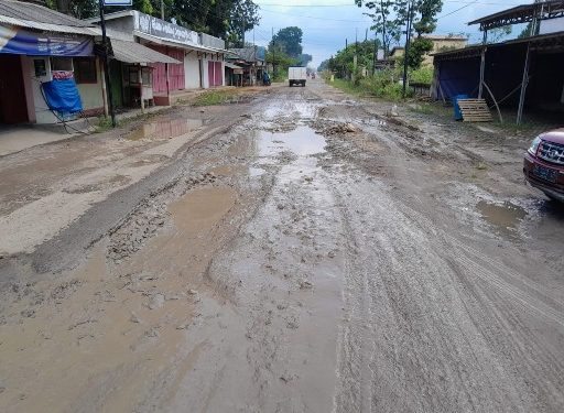 Jalan Provinsi di Seputih Mataram Kian Parah