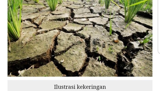 Fenomena El Nino, BPBD: Alhamdulillah, Lamteng Belum Terdampak